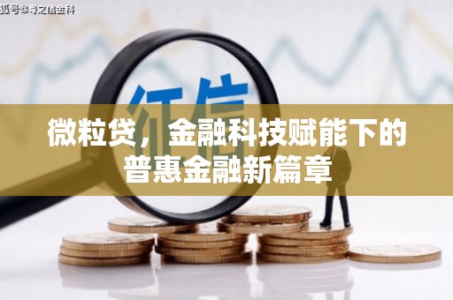 三芝微粒贷，金融科技赋能下的普惠金融新篇章