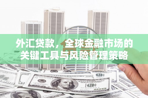 三芝外汇贷款，全球金融市场的关键工具与风险管理策略
