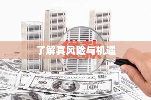 三芝了解其风险与机遇