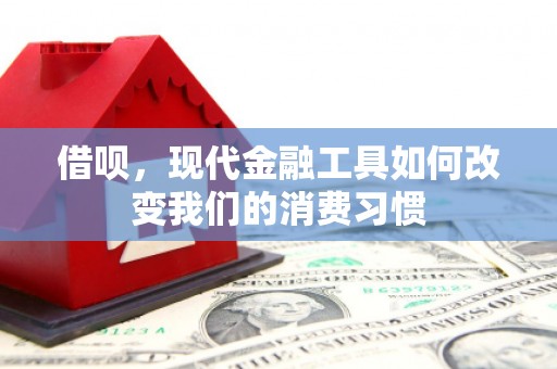 三芝借呗，现代金融工具如何改变我们的消费习惯