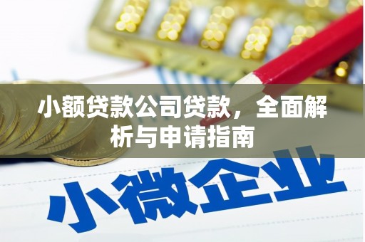 三芝小额贷款公司贷款，全面解析与申请指南