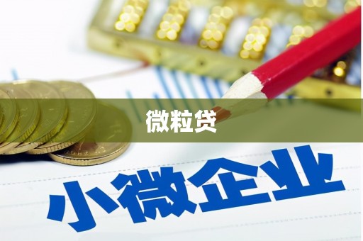 三芝微粒贷