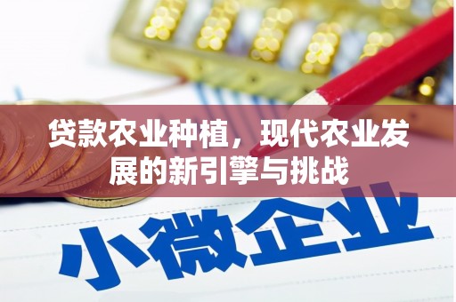 三芝贷款农业种植，现代农业发展的新引擎与挑战