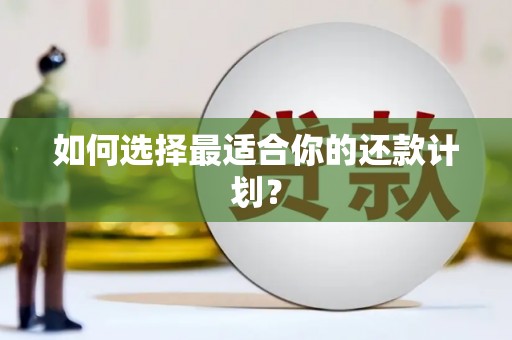 三芝如何选择最适合你的还款计划？