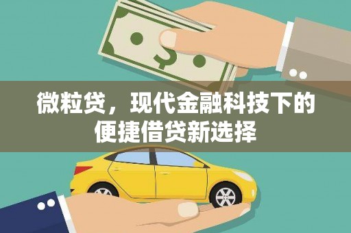 三芝微粒贷，现代金融科技下的便捷借贷新选择