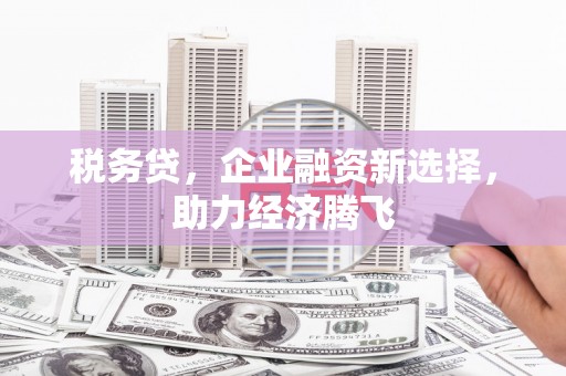 三芝税务贷，企业融资新选择，助力经济腾飞