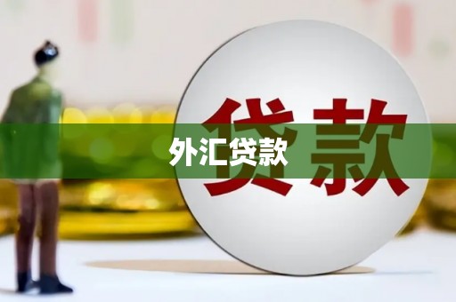 三芝外汇贷款