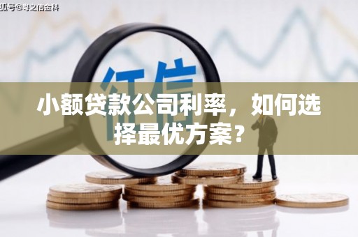 三芝小额贷款公司利率，如何选择最优方案？