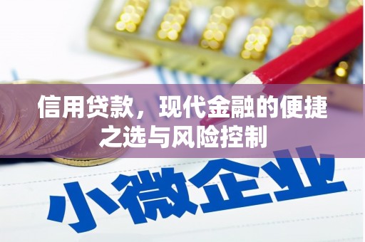 三芝信用贷款，现代金融的便捷之选与风险控制
