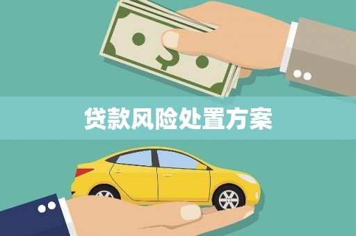 三芝贷款风险处置方案