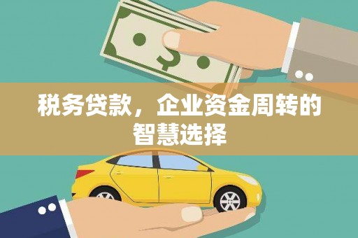 三芝税务贷款，企业资金周转的智慧选择