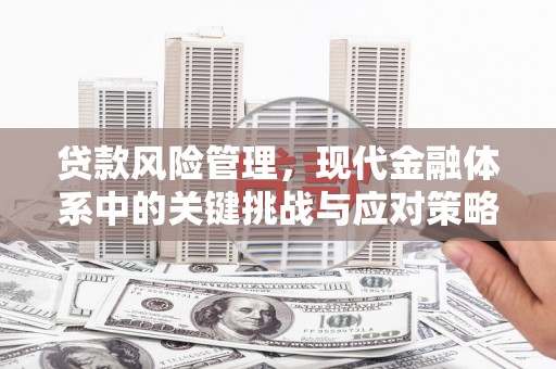 三芝贷款风险管理，现代金融体系中的关键挑战与应对策略