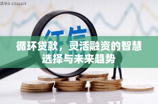 三芝循环贷款，灵活融资的智慧选择与未来趋势