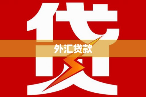 三芝外汇贷款