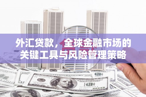 三芝外汇贷款，全球金融市场的关键工具与风险管理策略