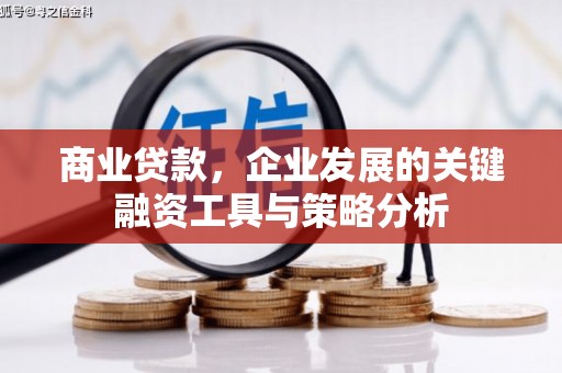 三芝商业贷款，企业发展的关键融资工具与策略分析