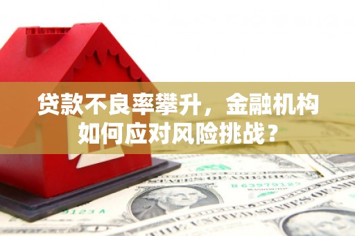 三芝贷款不良率攀升，金融机构如何应对风险挑战？