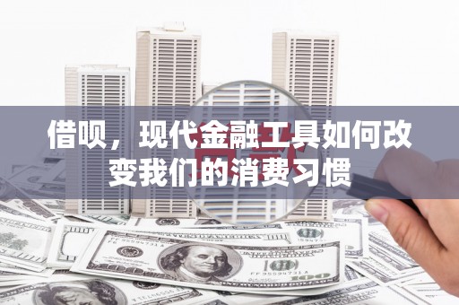 三芝借呗，现代金融工具如何改变我们的消费习惯