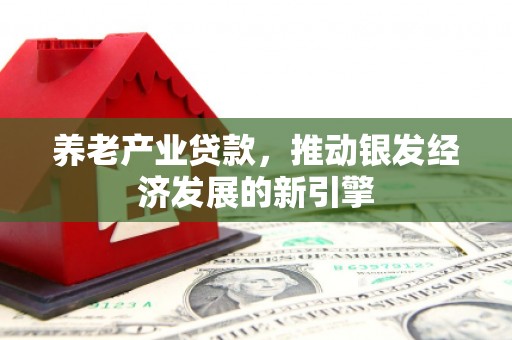 三芝养老产业贷款，推动银发经济发展的新引擎