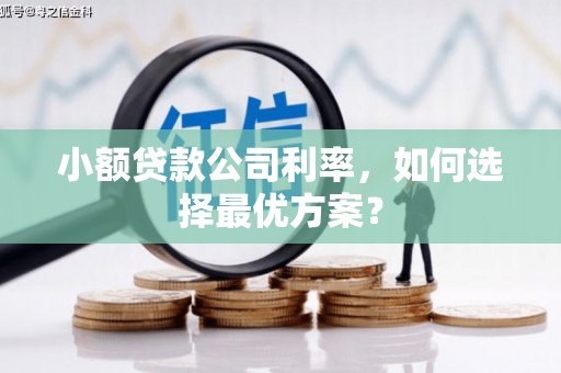 三芝小额贷款公司利率，如何选择最优方案？