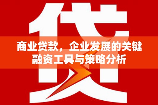三芝商业贷款，企业发展的关键融资工具与策略分析