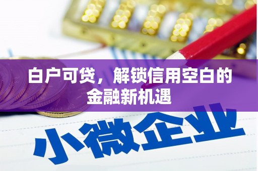 三芝白户可贷，解锁信用空白的金融新机遇