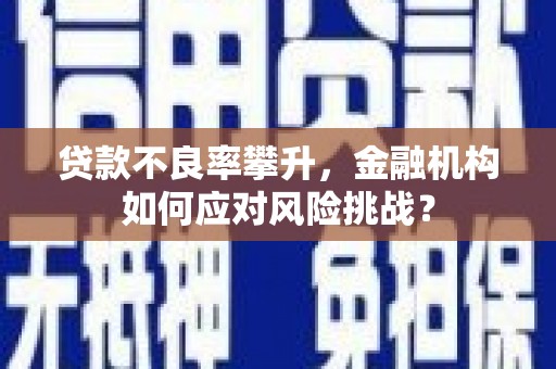 三芝贷款不良率攀升，金融机构如何应对风险挑战？