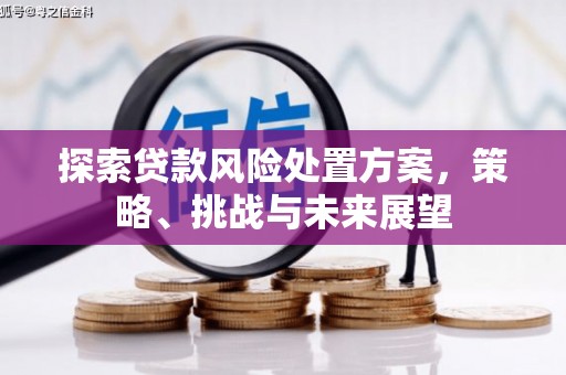 三芝探索贷款风险处置方案，策略、挑战与未来展望
