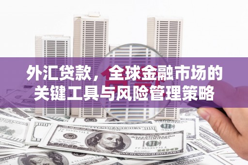 三芝外汇贷款，全球金融市场的关键工具与风险管理策略