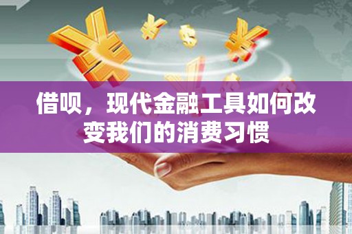 三芝借呗，现代金融工具如何改变我们的消费习惯