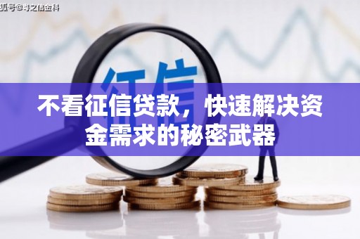 三芝不看征信贷款，快速解决资金需求的秘密武器