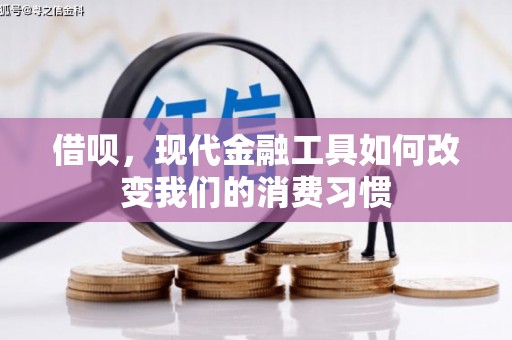 三芝借呗，现代金融工具如何改变我们的消费习惯