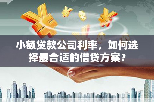 三芝小额贷款公司利率，如何选择最合适的借贷方案？