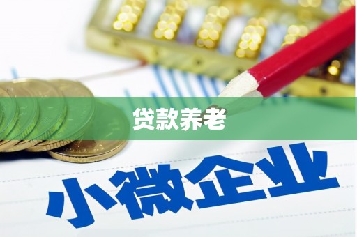 三芝贷款养老