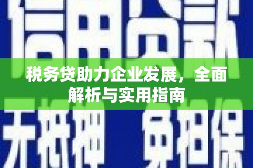 三芝税务贷助力企业发展，全面解析与实用指南
