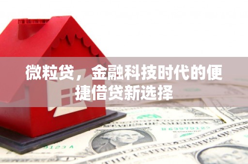 三芝微粒贷，金融科技时代的便捷借贷新选择