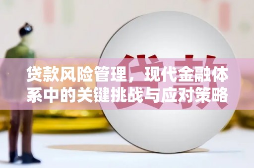 三芝贷款风险管理，现代金融体系中的关键挑战与应对策略
