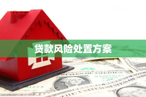 三芝贷款风险处置方案