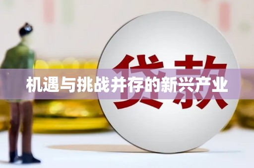 三芝机遇与挑战并存的新兴产业