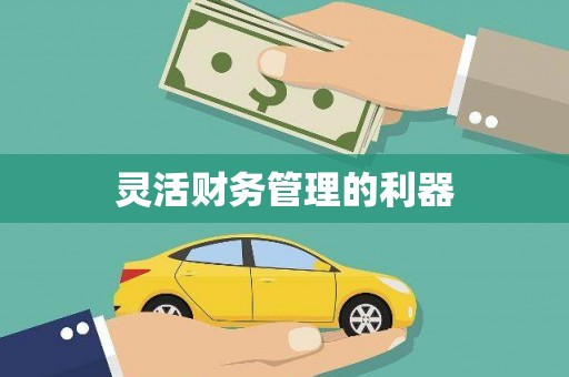 三芝灵活财务管理的利器