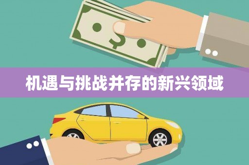 三芝机遇与挑战并存的新兴领域