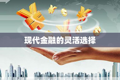 三芝现代金融的灵活选择