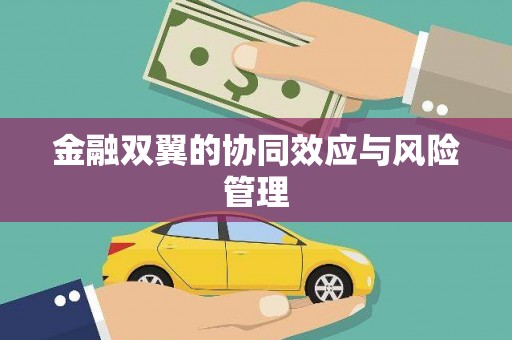 三芝金融双翼的协同效应与风险管理