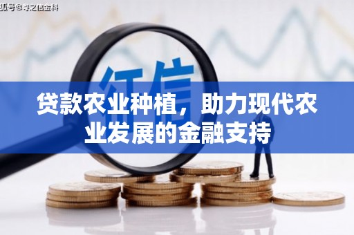 三芝贷款农业种植，助力现代农业发展的金融支持
